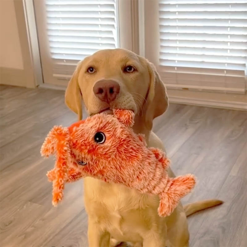 Dancing Lobster Toy