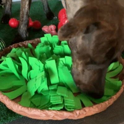 Snuffle Mat
