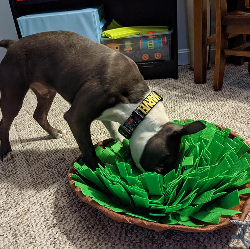 Snuffle Mat