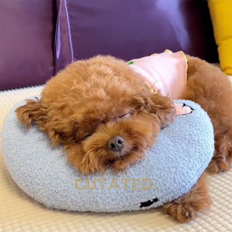 Dog anxiety outlet pillow