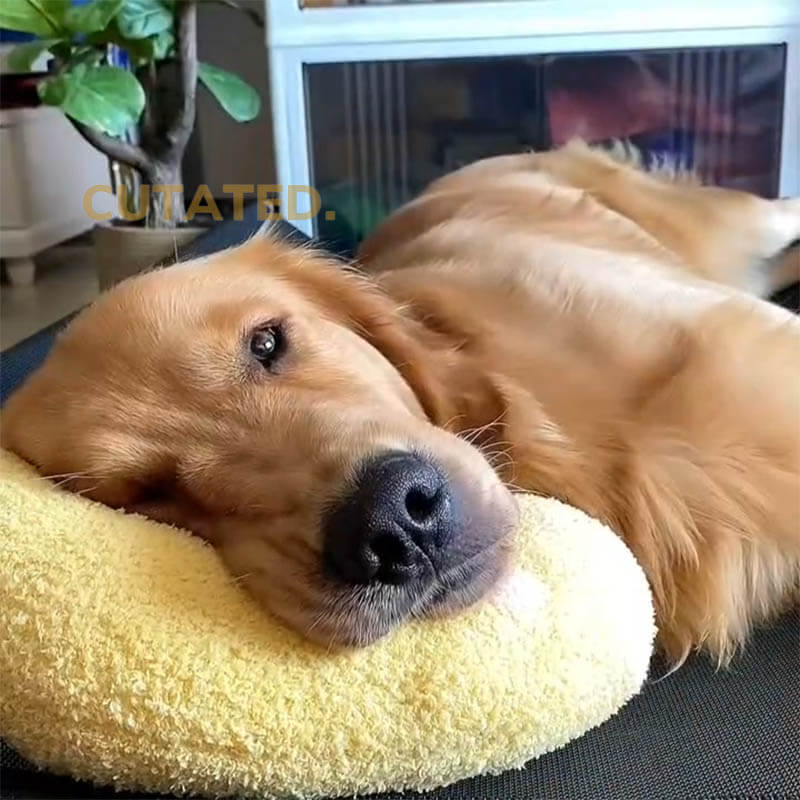 Calming Pillow - Large